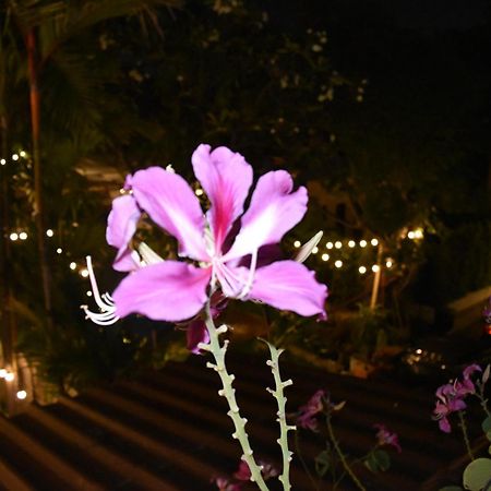 Thongtara House Boutique Srinakarin Hotel Bangkok Luaran gambar