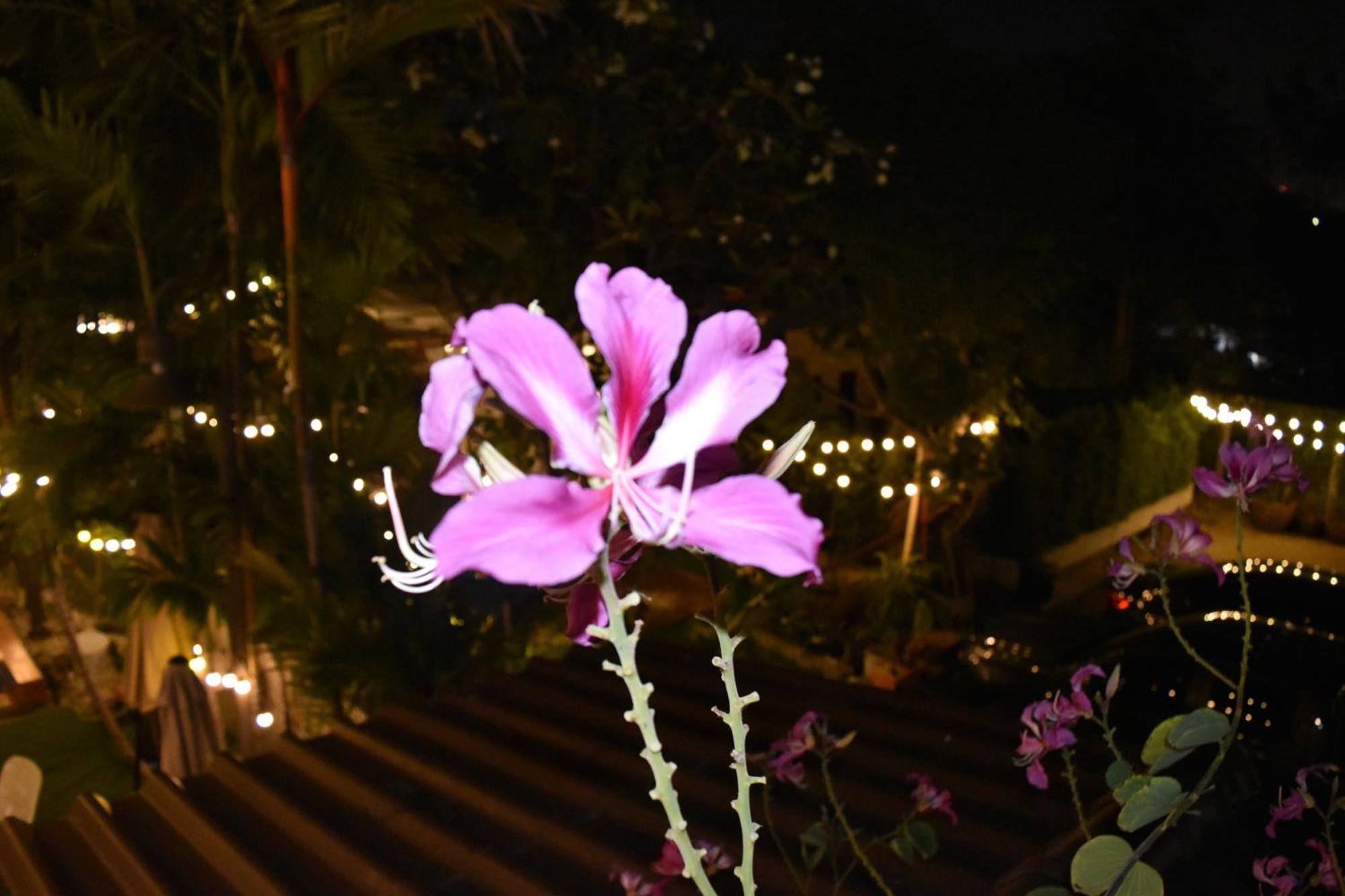 Thongtara House Boutique Srinakarin Hotel Bangkok Luaran gambar